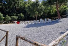 Torrevecchia di Bonifati. La quinta edizione della Sagra del Maiale tra musica, divertimento e pietanze calabresi