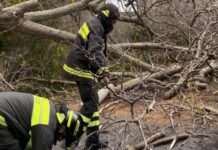 Maltempo in Calabria, centinaia di interventi dei vigili del fuoco: il report provincia per provincia