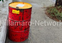 Belvedere, fusto nei pressi di uno stabilimento balneare. Interviene la Polizia Municipale – FOTO