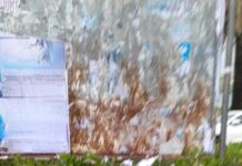 Sul Tirreno Cosentino si arriva a strappare i manifesti funebri «atto di basso profilo morale»