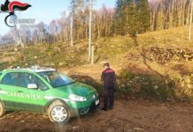 Tirreno Cosentino. Combustione di rifiuti e realizzazione di una strada in zona vincolata. Sanzionato e denunciato un uomo