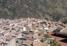 Intimidazione all’assessore comunale. suino ferito con un’arma da fuoco. Accade nel cosentino