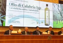 Olio di Calabria Igp al Senato, a Roma, per presentare un’etichetta “unica e inimitabile” con il nuovo contrassegno