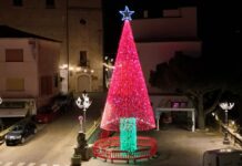 Belvedere Marittimo, acceso il grande albero di Natale nel centro storico – FOTO