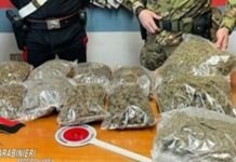 Munizioni e 11 sacchi di marijuana in un casolare abbandonato