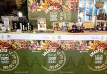 Amantea. Turismo enogastronomico: successo per «Percorsi di gusto»