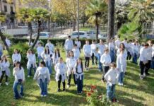 Cosenza. Nel giardino delle Scuole Misasi inizia la magia del Natale