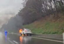 Paura sull’Autostrada A2: auto divorata dalle fiamme tra Rogliano e Cosenza