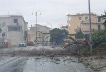 Paola. Raffiche di vento. Danni e disagi – FOTO