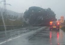 Tirreno cosentino. Maltempo incessante e SS18 piena di insidie. Scuole chiuse il 13 Gennaio. Ecco dove