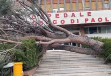 Da Paola a Cetraro. Raffiche di vento «Impressionanti» e i comuni fanno la conta dei danni su tutto il Tirreno Cosentino- FOTO