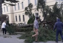 San Lucido e Paola. Sospese le attività didattiche. Controlli sugli edifici scolastici.