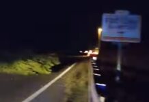Tirreno Cosentino. Albero cade sulla SS18 con auto in transito. Tragedia sfiorata.