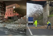 Tirreno Cosentino. Vento incessante. Alberi caduti, disagi e scenario «apocalittico» sulla SS18