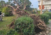 Tirreno Cosentino. È il momento della conta dei danni