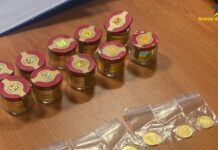 Tirreno Cosentino. Truffe allo Stato e autoriciclaggio. Tre arresti, sette indagati e sequestro preventivo di 15 milioni di euro