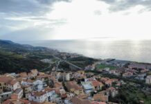 “Emergenza” lupi sulla costa tirrenica cosentina: allevatori in difficoltà