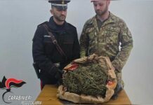 Carabinieri in azione nell’Aspromonte: sequestrato oltre 1 chilo di marijuana