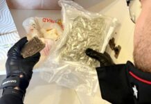 Tirreno Cosentino. Pregiudicato beccato con oltre mezzo chilo di Marijuana e Hashish in casa