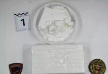 In auto con 1,6 kg di cocaina pura, due arresti della polizia nel cosentino