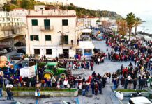 Belvedere Marittimo, tutto pronto per il Carnevale 2025: Il più bello della Riviera dei Cedri