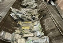 137 chili di cocaina purissima sequestrati. Maxi operazione in Calabria