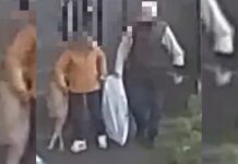 Orrore sul Tirreno Cosentino, cuccioli di cane chiusi in un sacco e caricati in auto. Scatta la denuncia