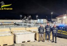 Maxi sequestro di “bianchetto” in Calabria: 1.500 chili di novellame non commestibile nascosti in un tir