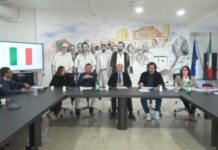 Diamante, il video della quasi rissa finisce sui social. Il sindaco parla di «strumentalizzazioni». IDM invita alla calma