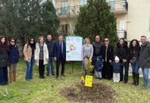 San Lucido «Piantiamo un albero per il futuro» successo per l’iniziativa nell’asilo nido di Pollella