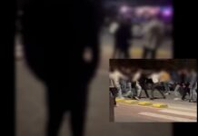 Botte da orbi a Paola. Lungomare «ostaggio» di gruppi rivali di giovani