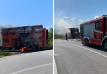 Paura nel cosentino. Camion di bestiame in fiamme