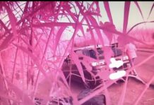 Tirreno Cosentino, colti mentre abbandonavano rifiuti: Multata una famiglia