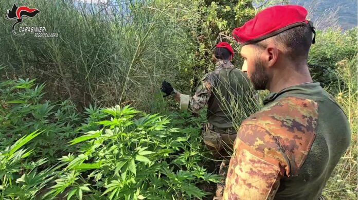 FB_IMG_1757405377609