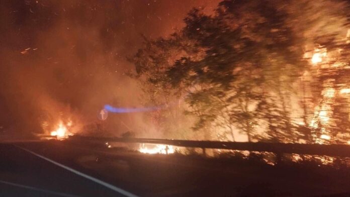 InCollage_20250919_090747398