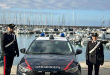 Follia sul Tirreno Cosentino, direttore di attività commerciale aggredito nel proprio negozio.