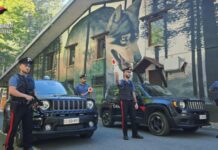 Dal Cosentino. Sequestro di un parcheggio abusivo. Sigilli nella riserva naturale dei “Giganti della Sila”