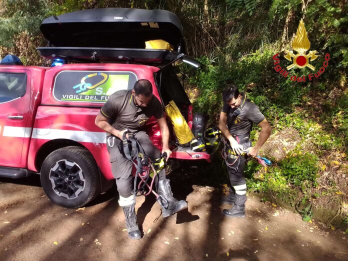 FB_IMG_1761817341937