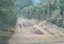 Belvedere Marittimo, pioggia e maltempo. Attivato il Centro Operativo Comunale