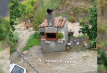 Belvedere M.mo, panico in località Quattromani, Polizia Locale soccorre una donna in difficoltà