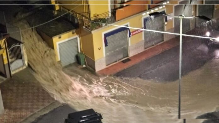 InCollage_20251023_124440554