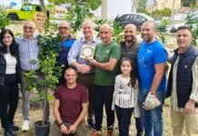 Fuscaldo splende, piantumate due piante di limone come simbolo di nuove radici. Il plauso dell’associazione “Le Meraviglie del borgo”