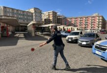 Controlli di Polizia nel Cosentino: 5 arresti e sequestro di droga