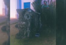 Dramma sfiorato in Prov. Di Cosenza. Auto esce fuori strada e si ribalta