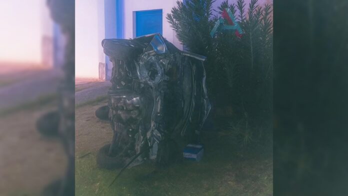 InCollage_20251103_074427671