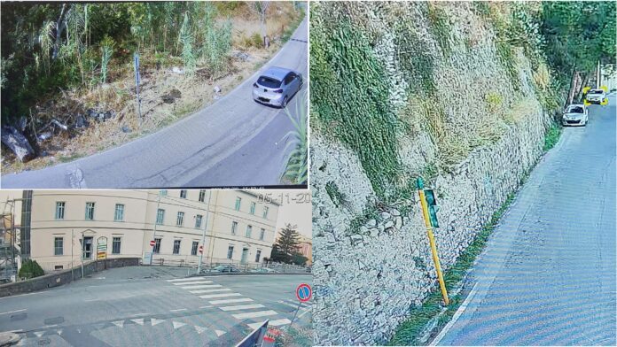 InCollage_20251105_215727111