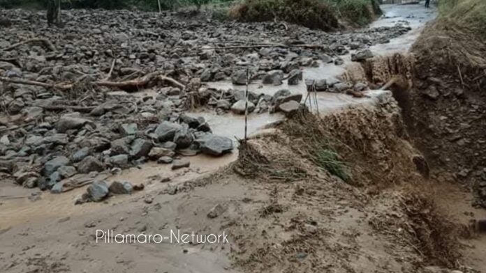 InCollage_20251111_122259164