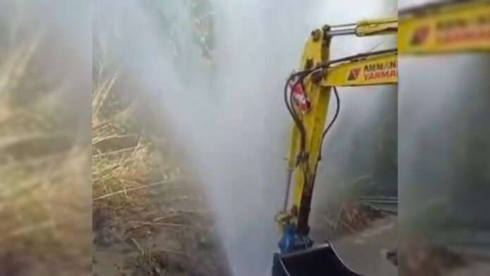 InCollage_20251111_162707750