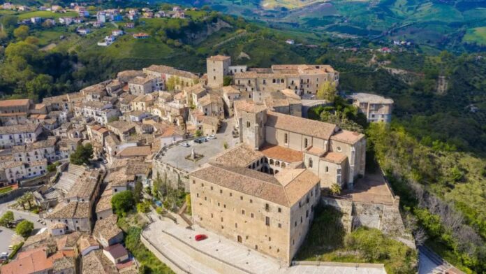 InCollage_20251121_075454799