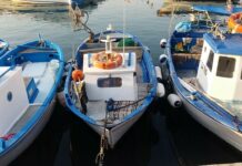 Cetraro, Il Sindaco Aieta: «Prolungamento del fermo pesca è inaccettabile»